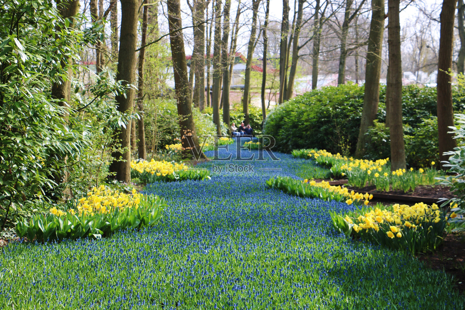 库肯霍夫花园照片摄影图片
