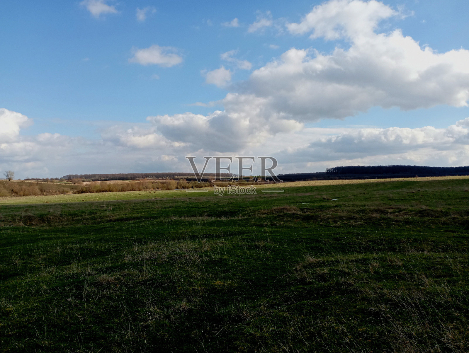 春天碧绿草地上的蓝天。在一个阳光明媚的春日，小朵云飘过天空。在地平线上可以看到一片森林。照片摄影图片