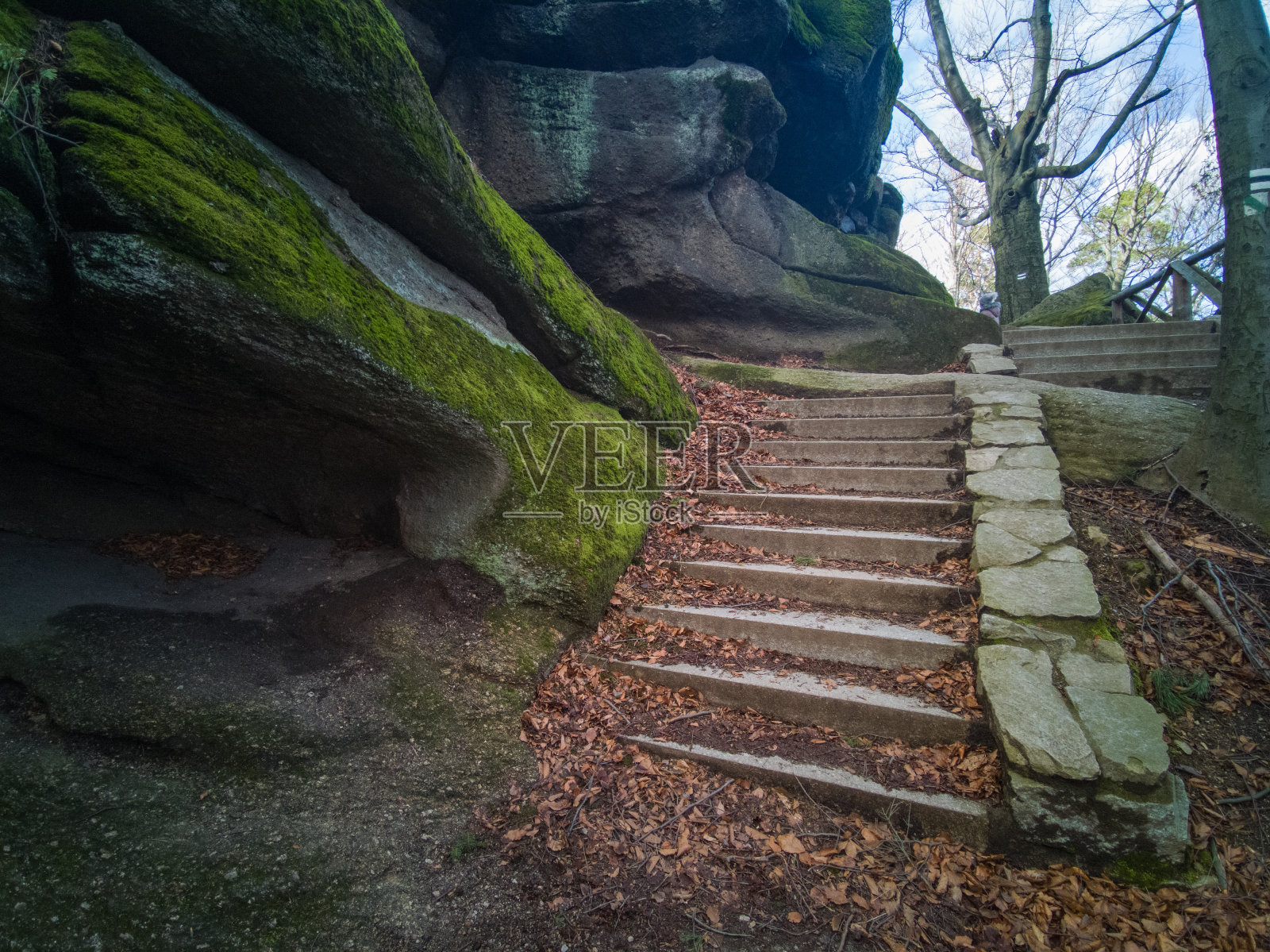 前往Chojnik城堡的小路-苏代迪山脉-波兰照片摄影图片