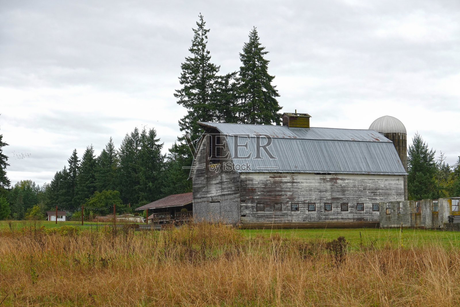 White barn，美国照片摄影图片