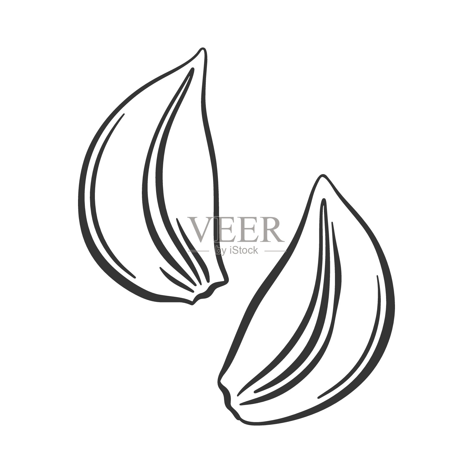 矢量轮廓大蒜瓣切成两半。蒜瓣切片。大蒜图标。烹调用的辛辣原料。插画图片素材