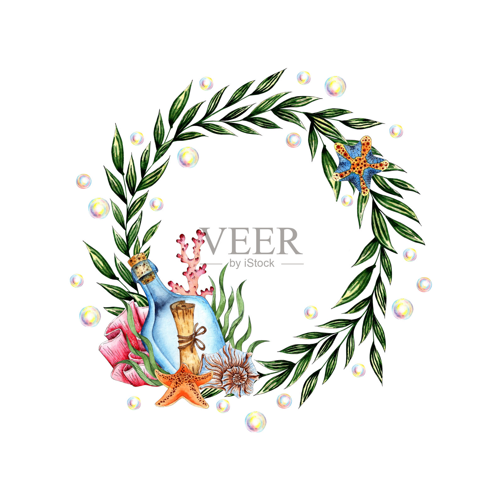 圆形画框上有海藻和一个水彩画的瓶子插画图片素材