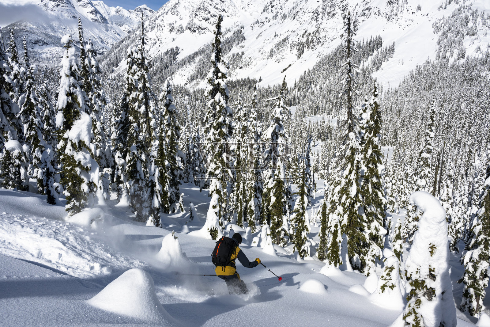 穷乡僻壤的滑雪者穿过森林滑下斜坡照片摄影图片