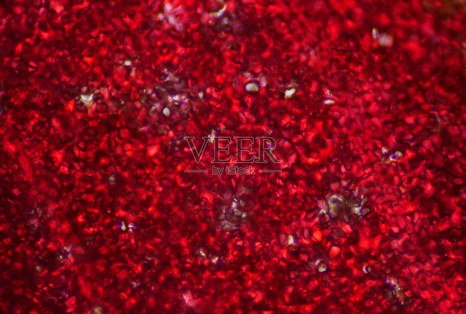 植物细胞纹理。照片摄影图片