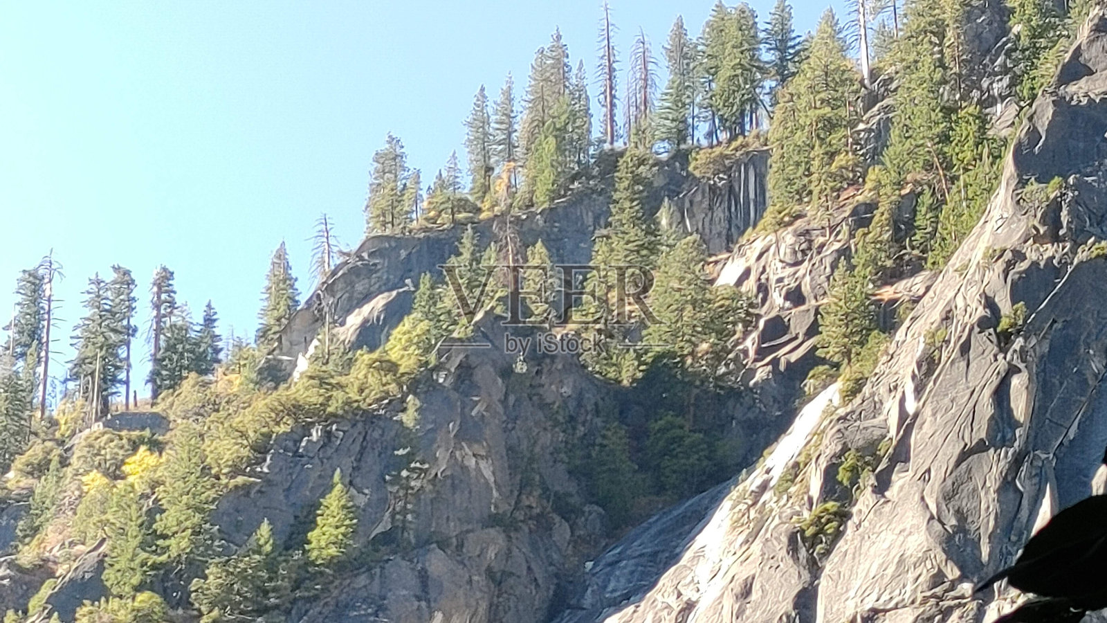 迷人的森林照片摄影图片