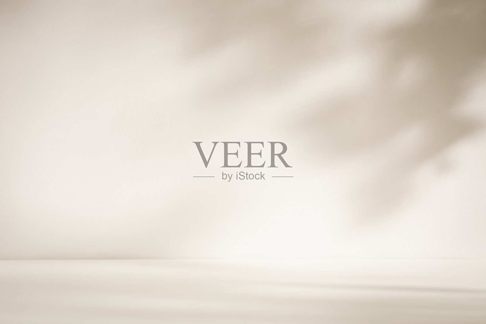 在阳光充足的房间里，米色地板和墙壁以树叶的阴影作为产品展示的背景照片摄影图片