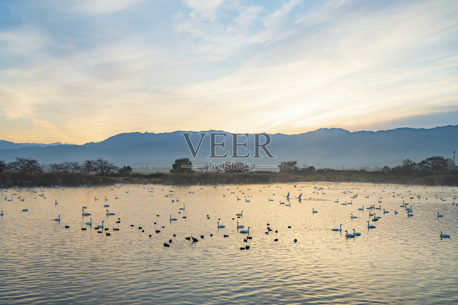 早晨的百合湖照片摄影图片