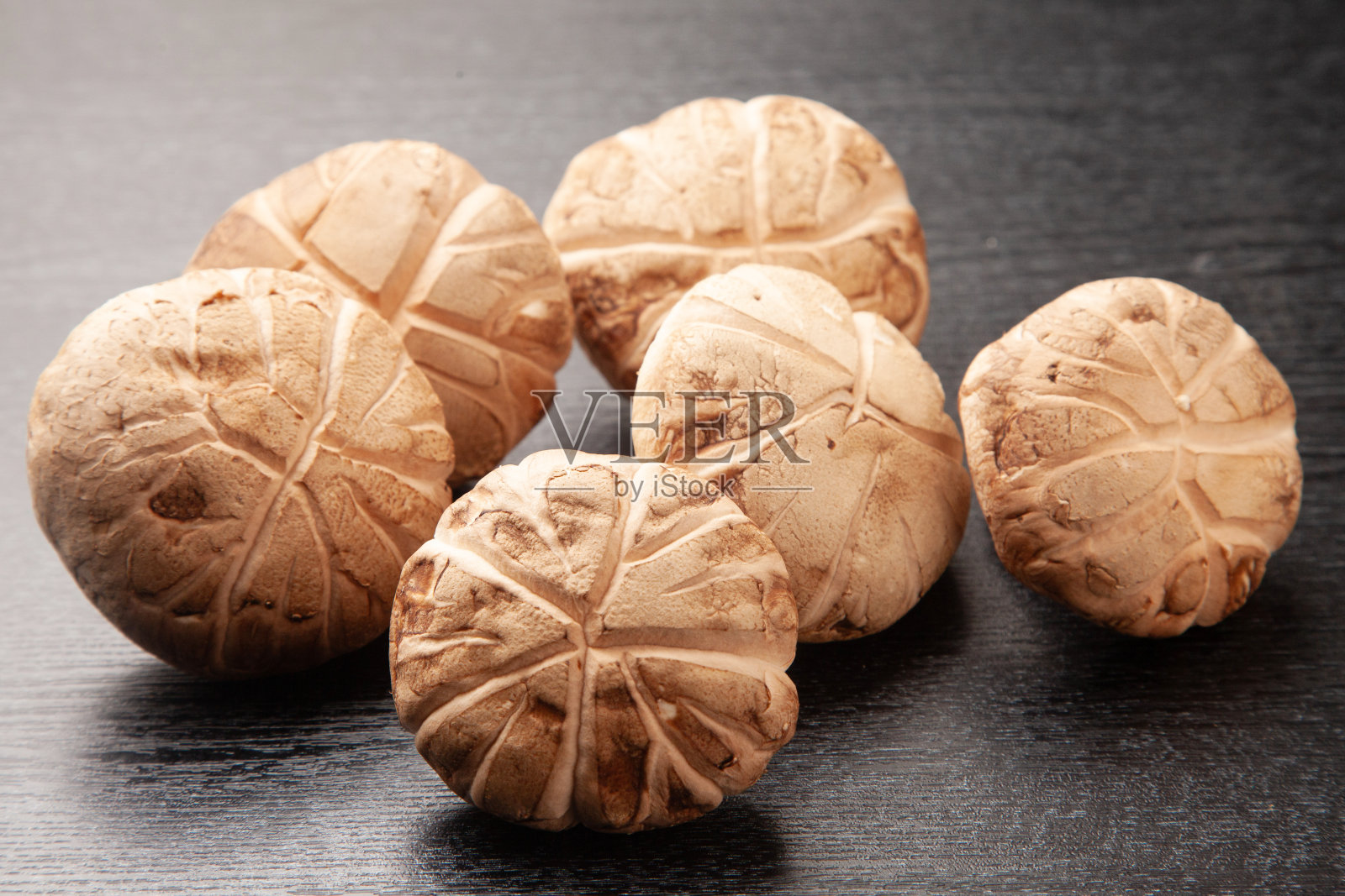 生冬青香菇照片摄影图片