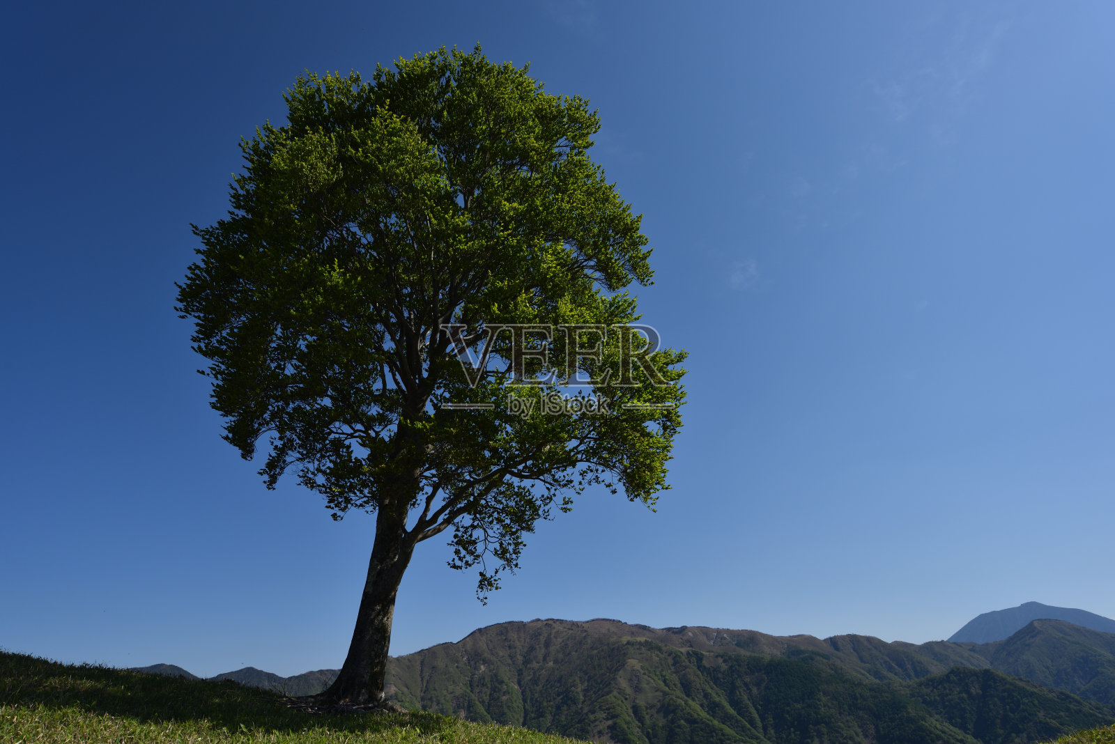 攀登日本枥木的中仓山照片摄影图片