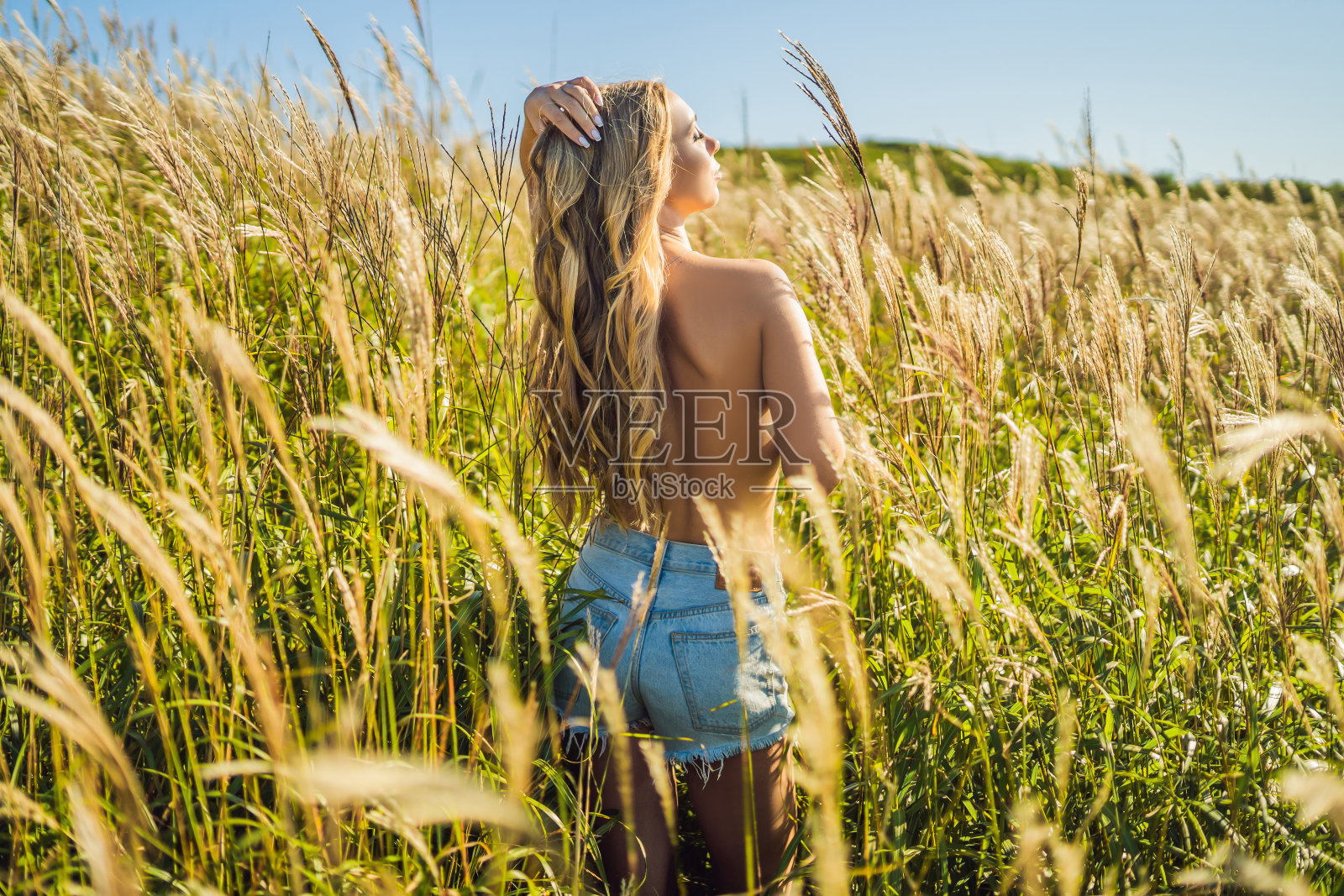 年轻美丽的女子在秋日的山水中带着干枯的花朵，麦穗。时尚秋冬。阳光明媚的秋天，时尚写真照片摄影图片