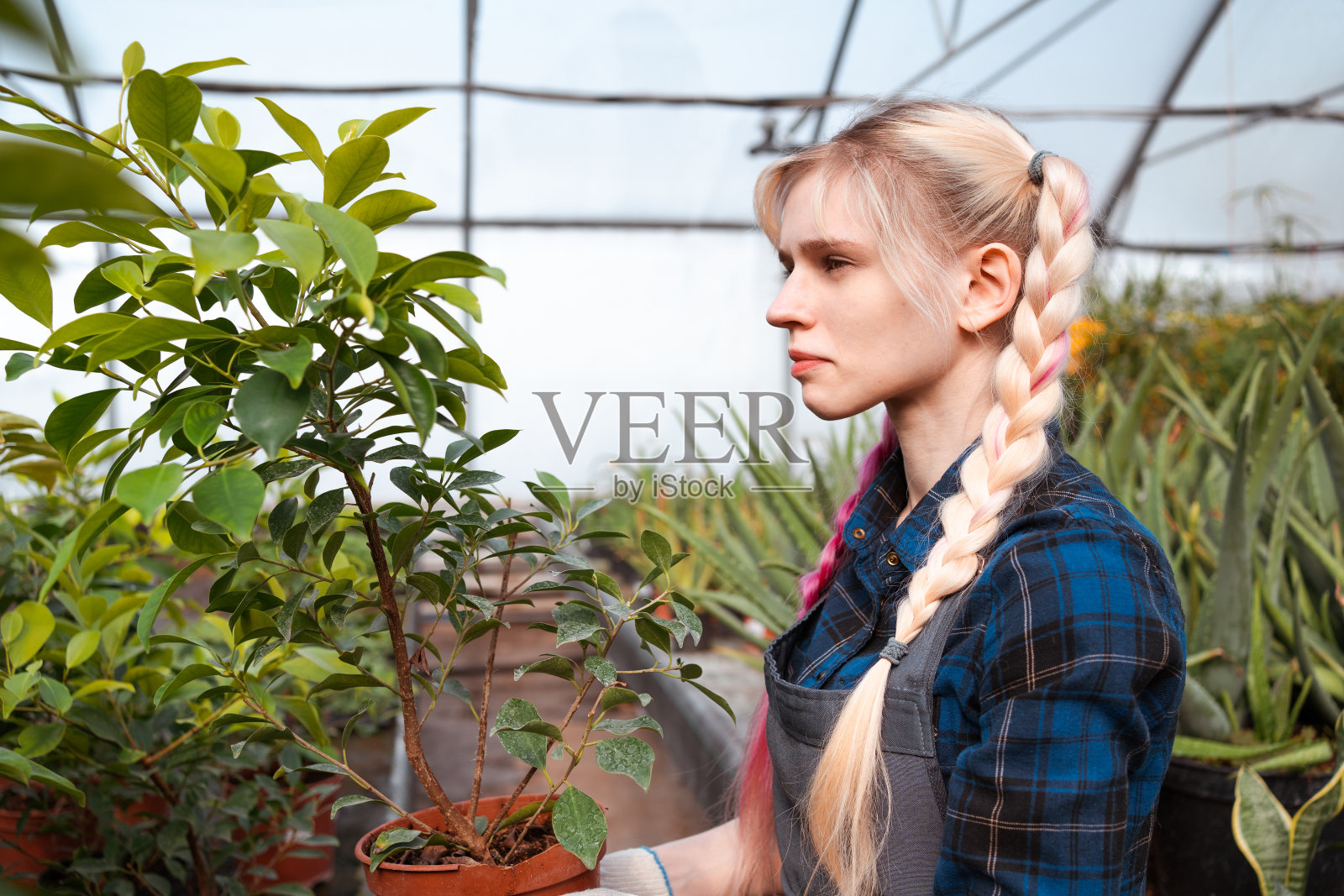 在花园商场室内植物苗圃工作的年轻女子照片摄影图片
