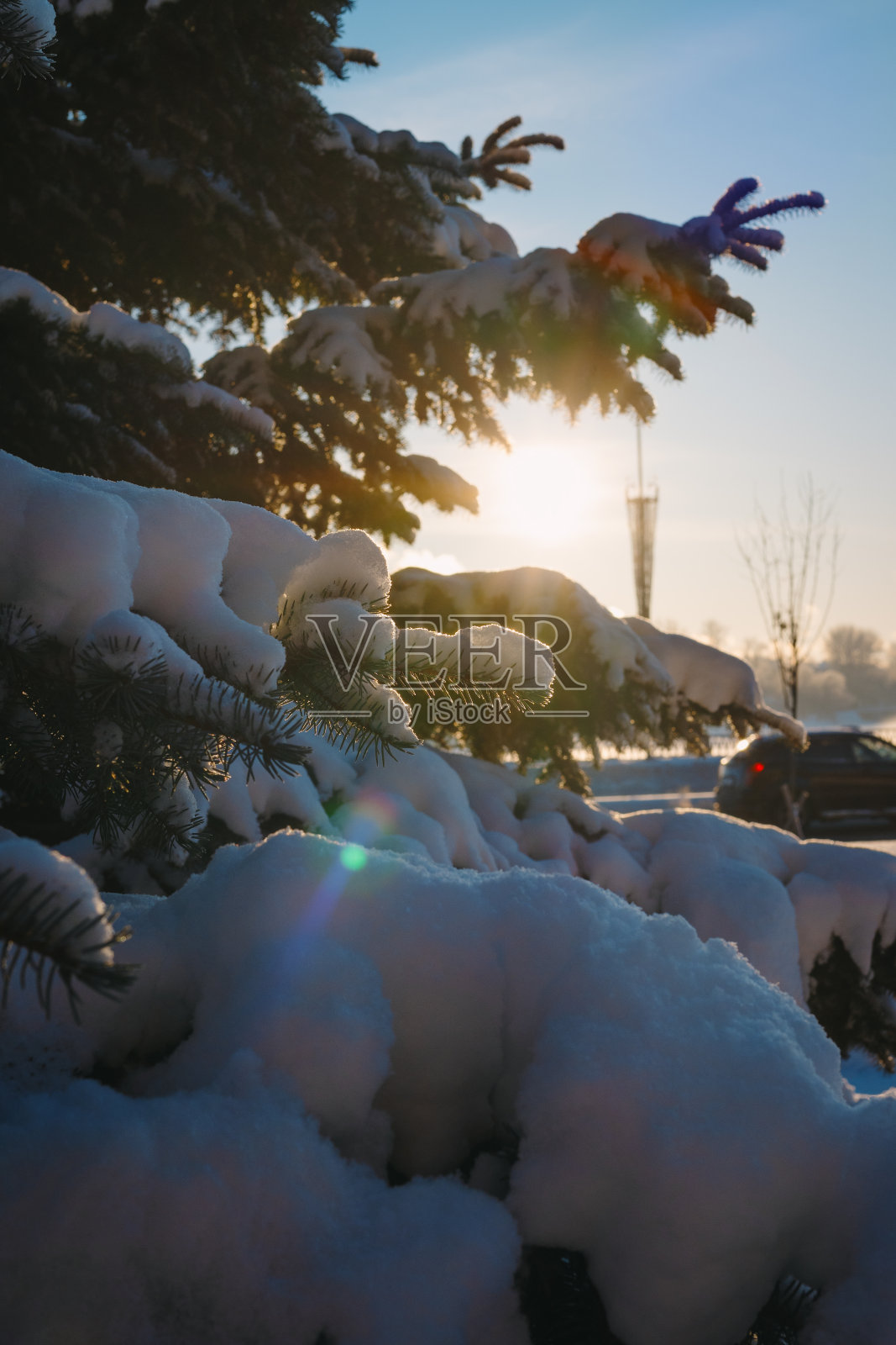 城市里的圣诞树照片摄影图片