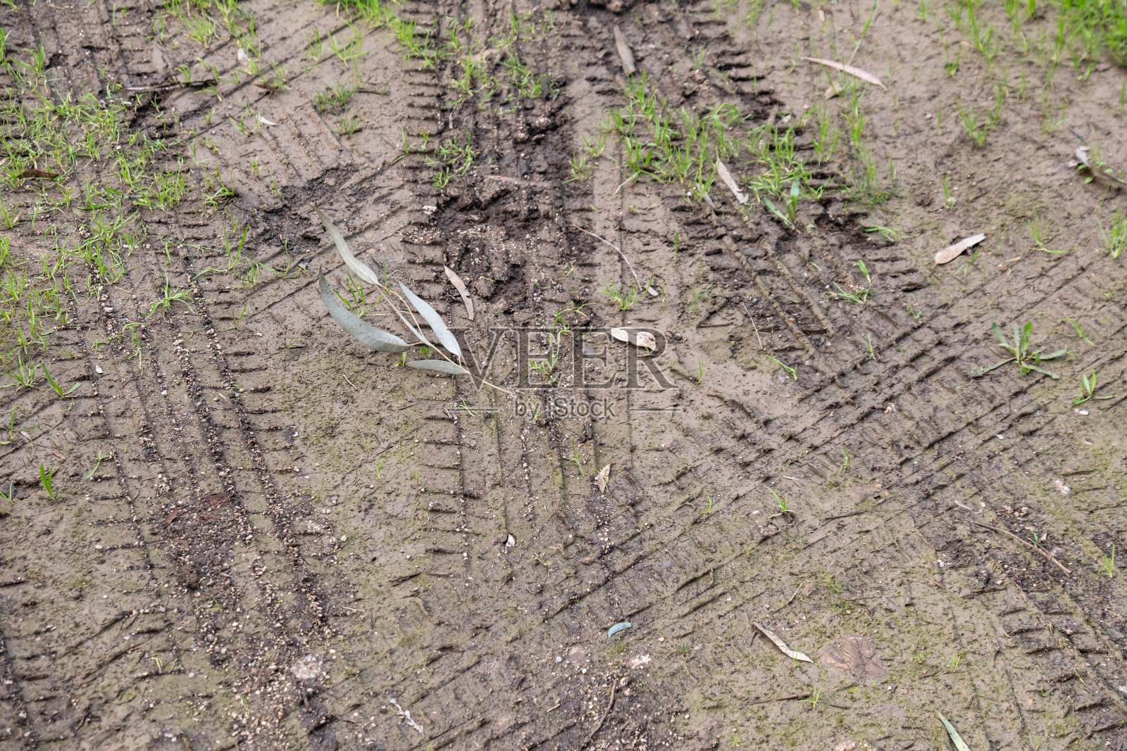 汽车轮胎印在潮湿的土壤上。胎印。照片摄影图片