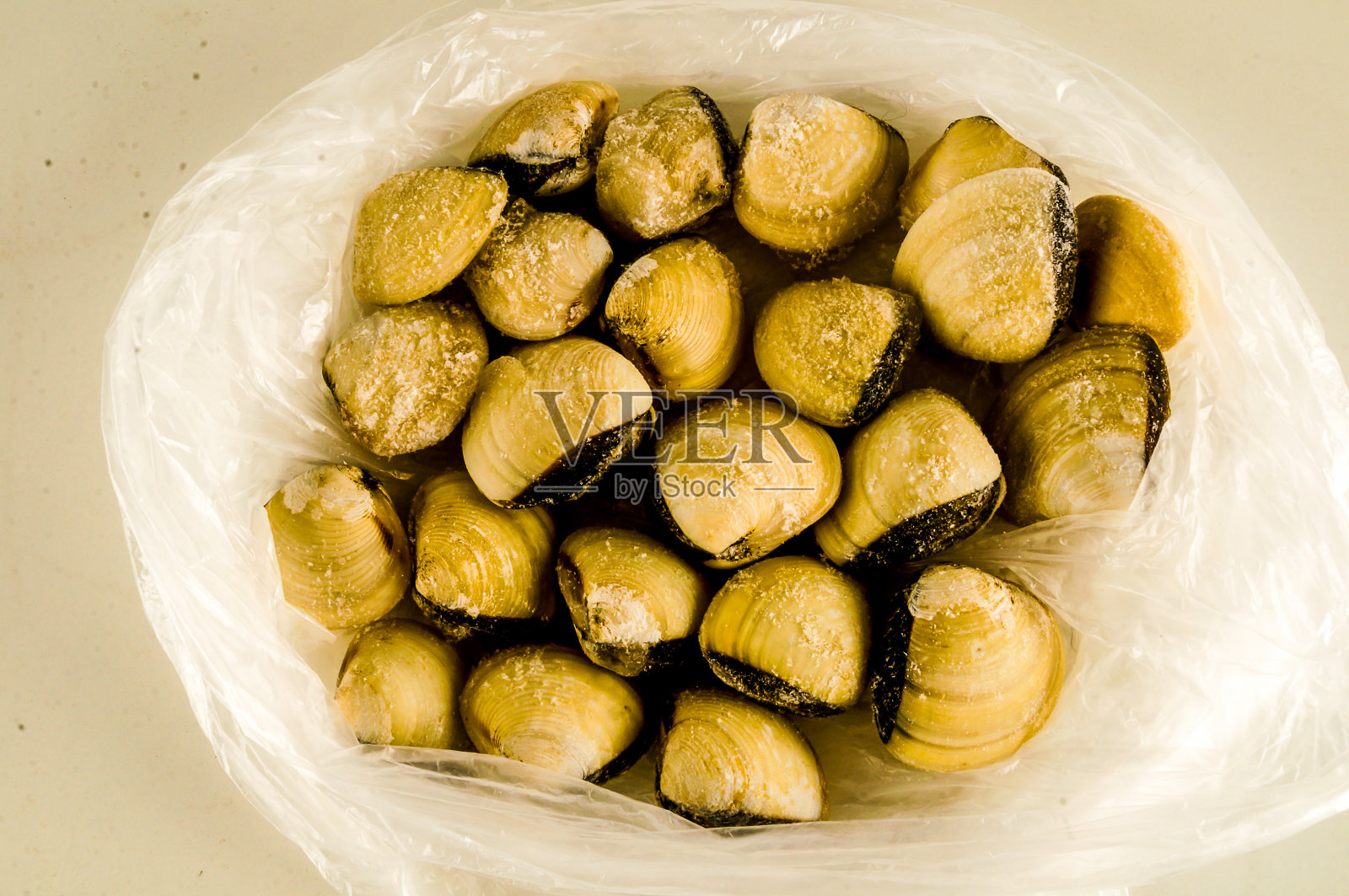 收集各种蛤壳照片摄影图片