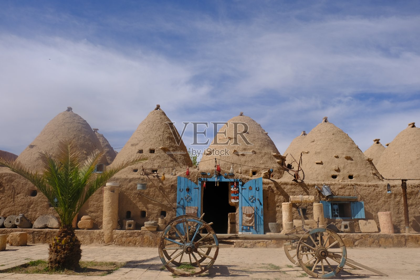 哈兰照片摄影图片