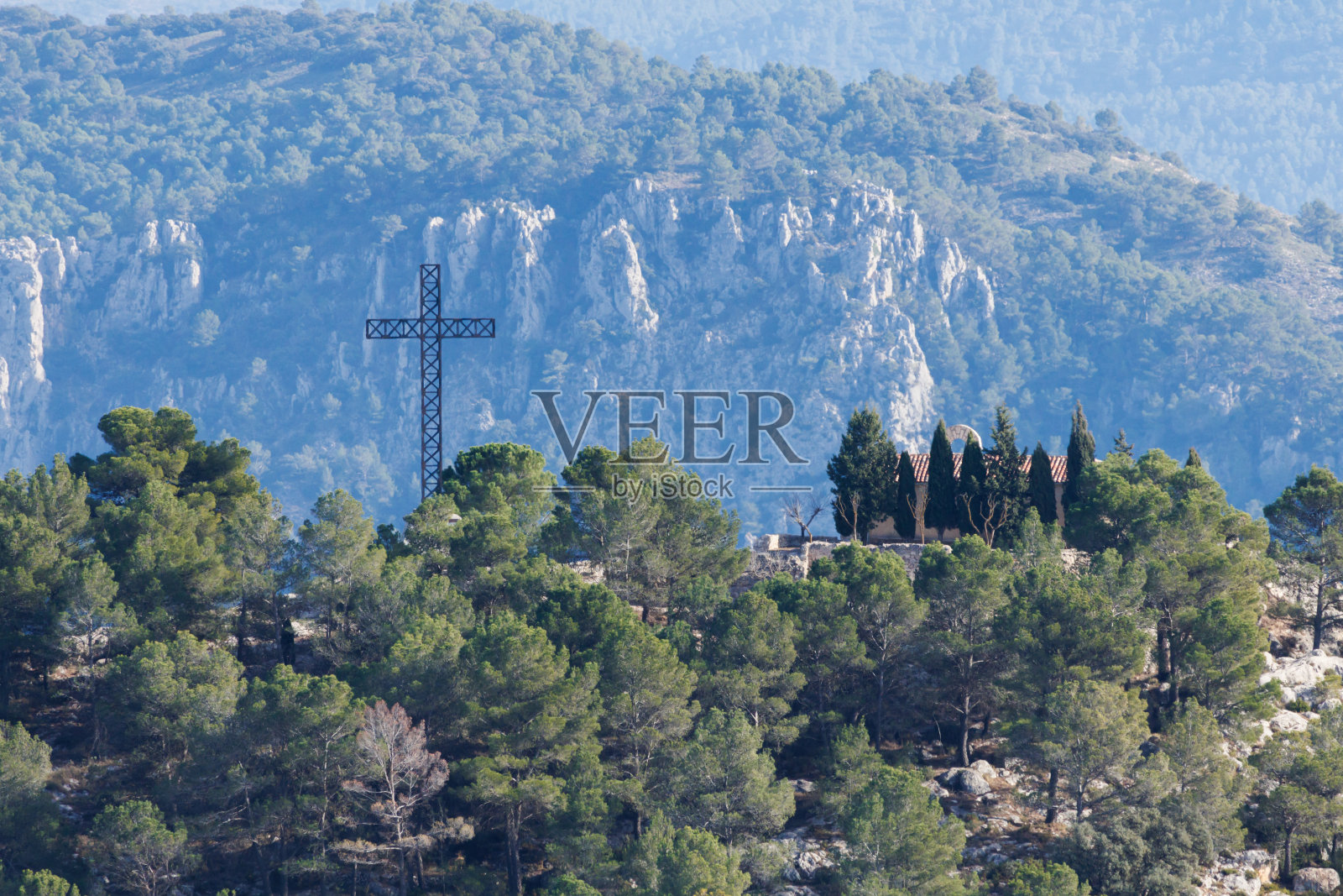 森林中松树之间的金属交叉照片摄影图片