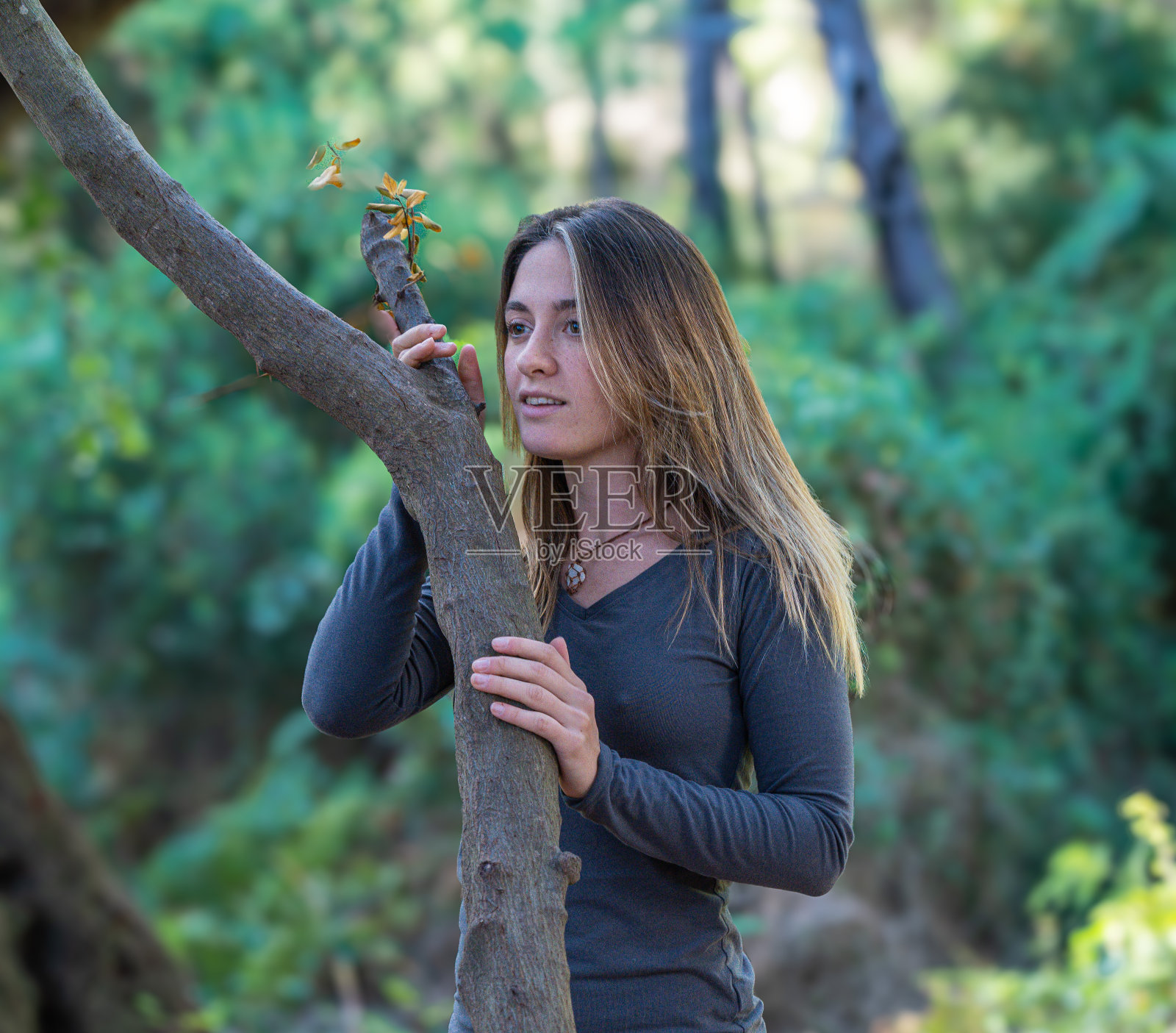 女孩抱着树照片摄影图片