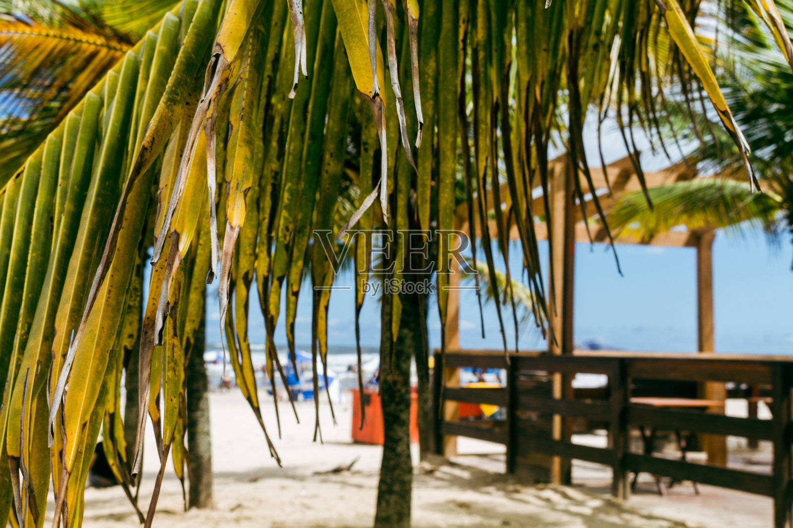 热带海滩的景色与椰子叶在前景在一个阳光明媚的日子。照片摄影图片