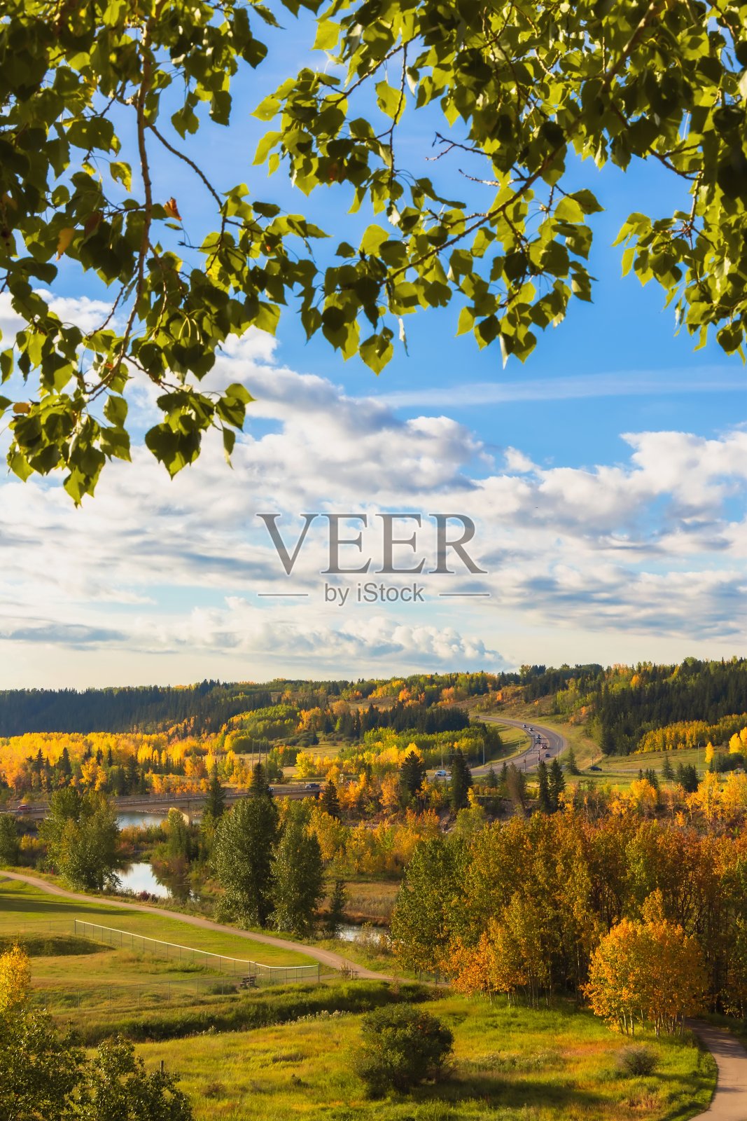 树叶映衬着瀑布河谷照片摄影图片