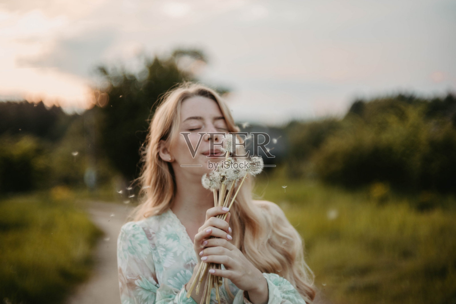 年轻女子在蒲公英地里的晚霞里穿着裙子，夏日来临的概念，假期的梦想和回忆。照片摄影图片