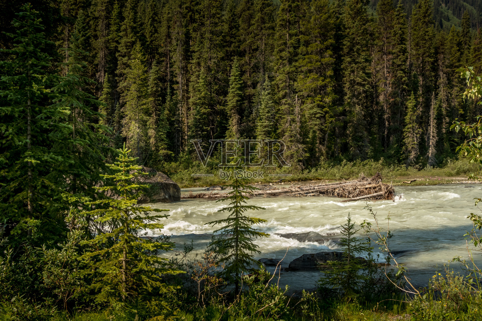 库特尼河到努马瀑布库特尼国家公园，加拿大不列颠哥伦比亚省照片摄影图片