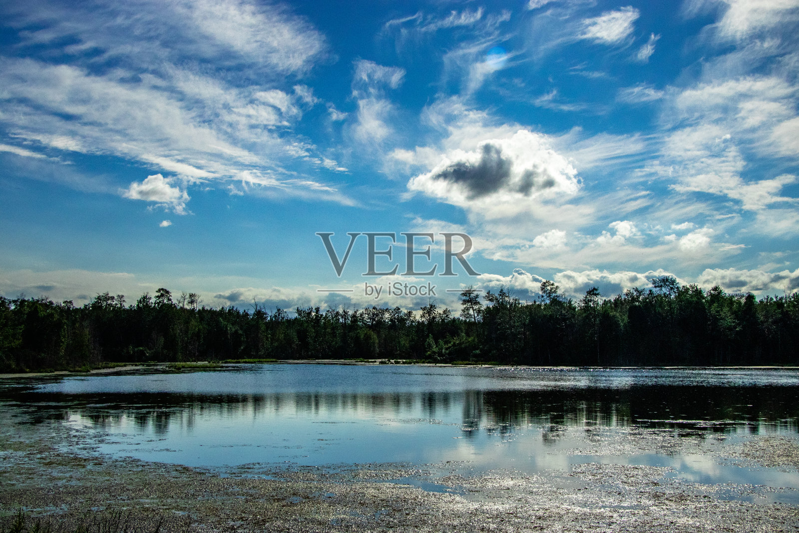 加拿大艾伯塔省麋鹿岛国家公园路边照片摄影图片