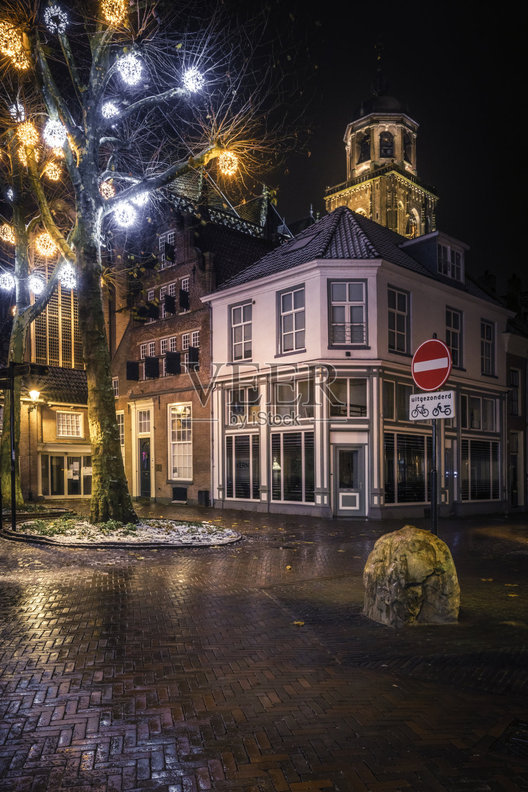 街上的一棵大树，树上挂着灯照片摄影图片