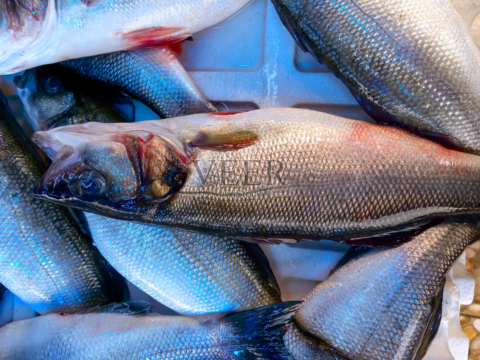 在特拉布宗的鱼市场上出售来自黑海和地中海的鱼照片摄影图片