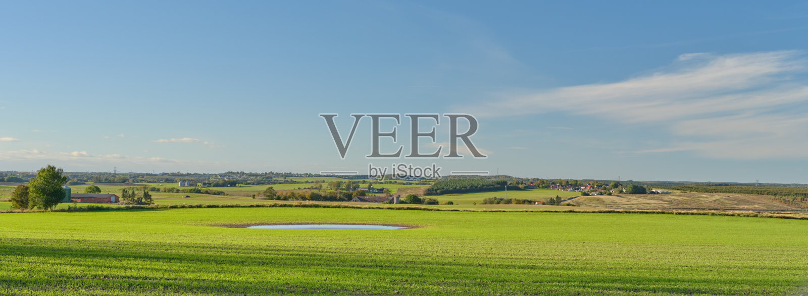 夏末初冬的碧绿田野和蓝天照片摄影图片