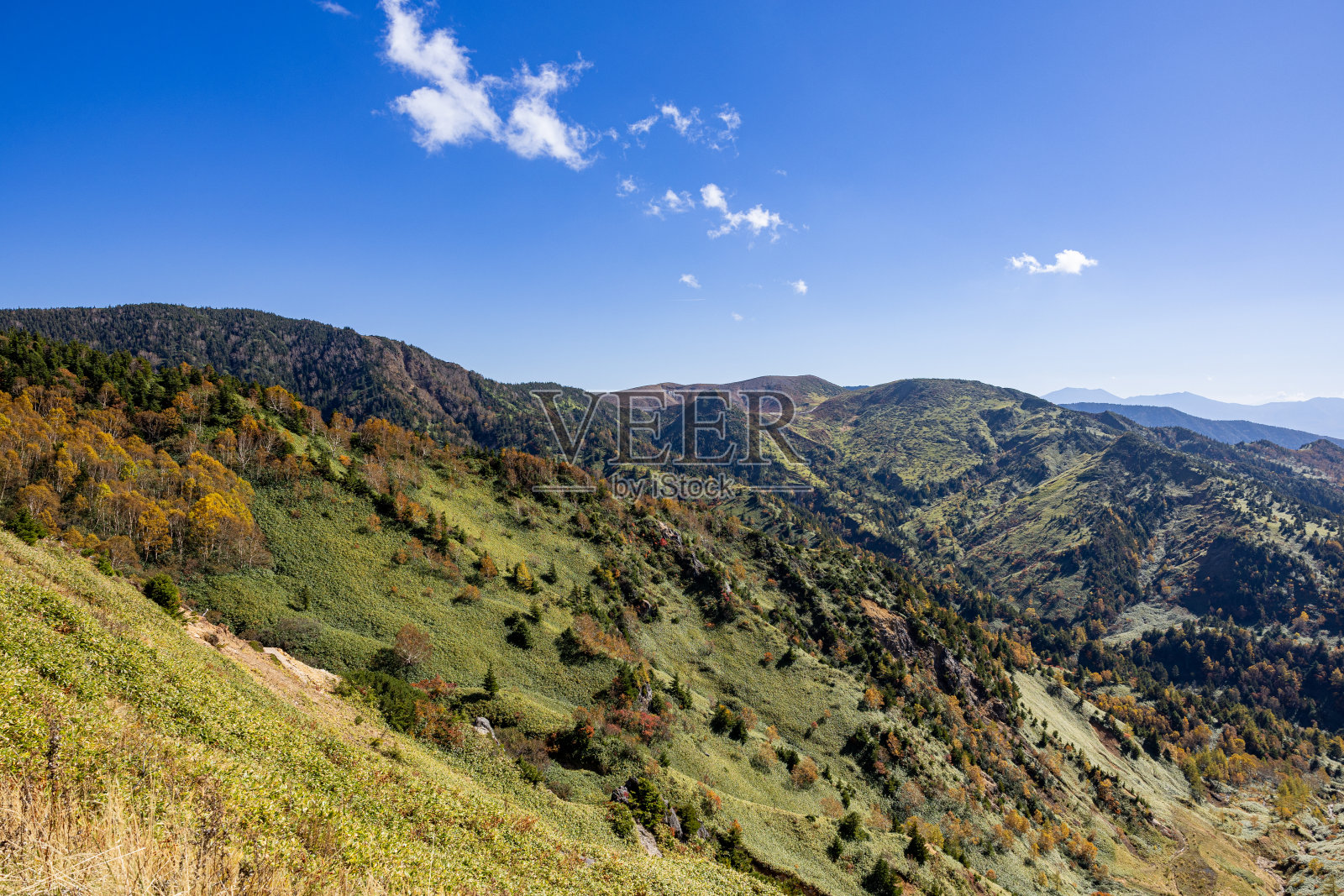 志贺宫的秋叶景色。照片摄影图片
