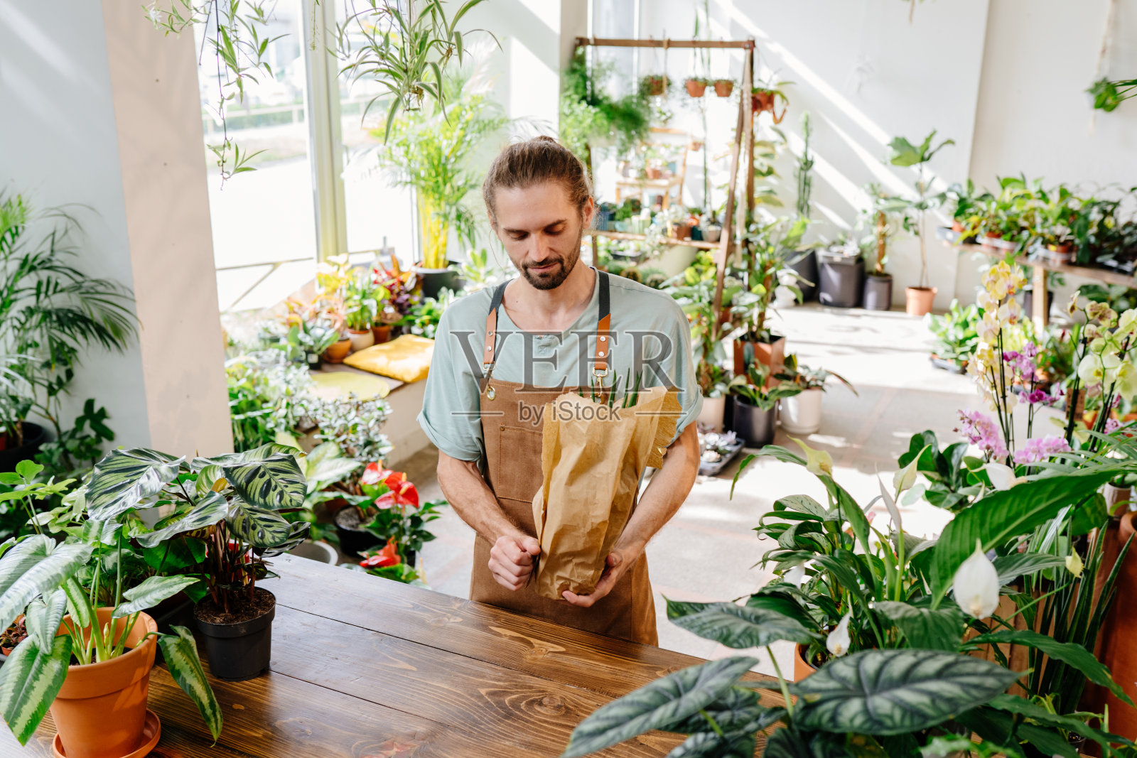 戴着围裙的帅哥用纸包着一盆植物。照片摄影图片
