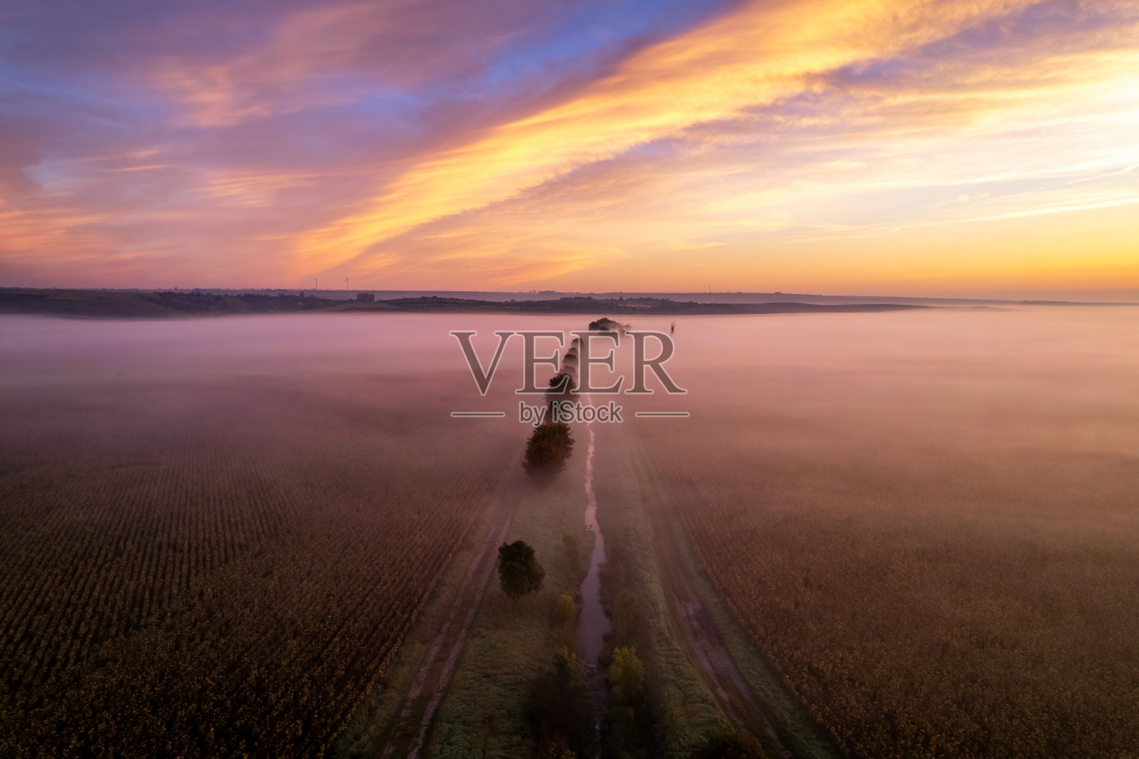 忧郁和极简主义的照片，一条小溪在雾中与树站在它旁边照片摄影图片