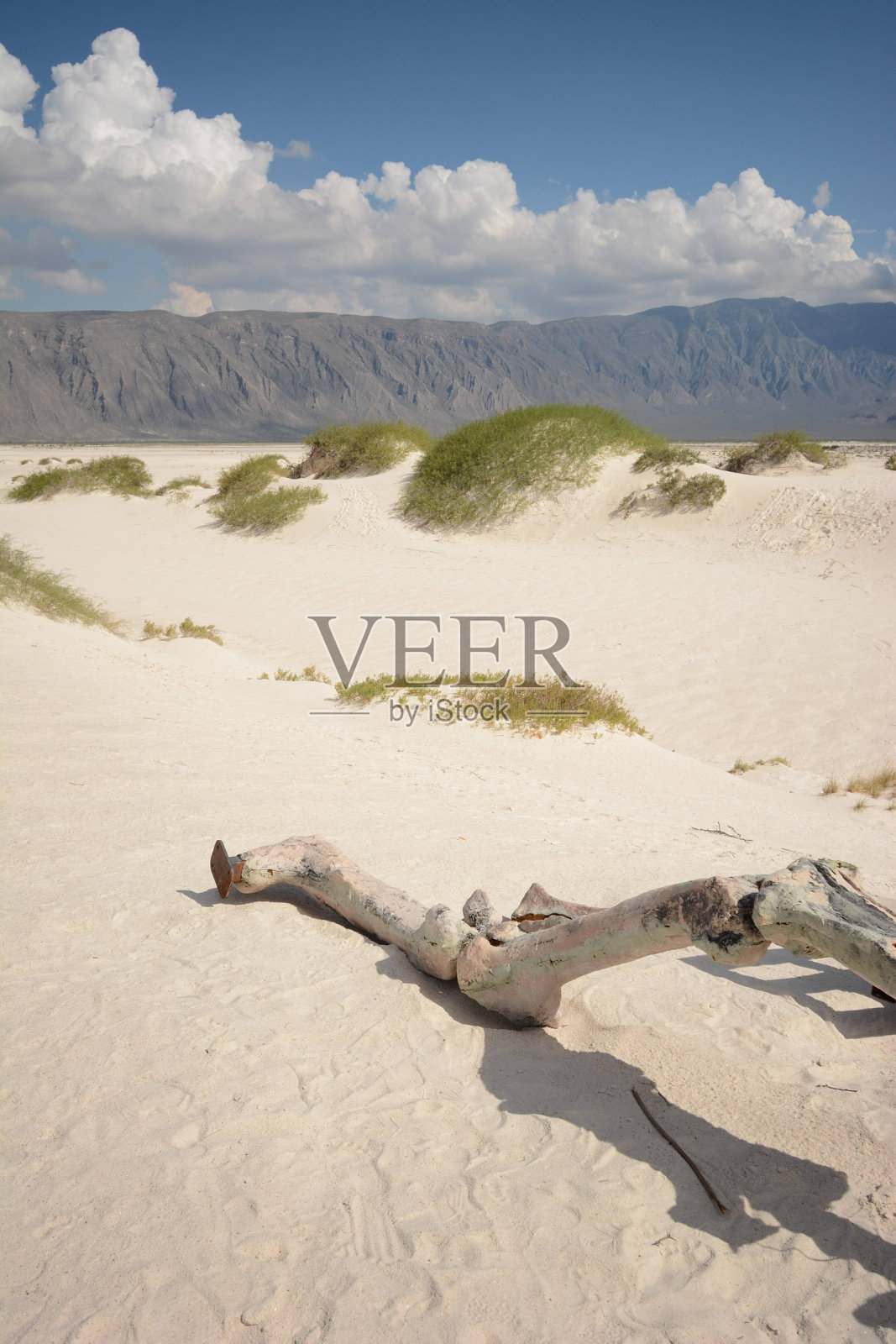 墨西哥照片摄影图片