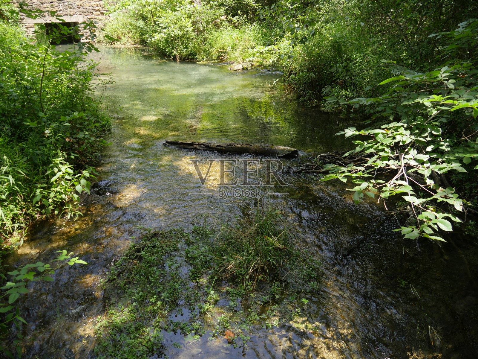 在俄克拉何马州的奇卡索国家娱乐区，水从羚羊泉流向石灰华溪。照片摄影图片