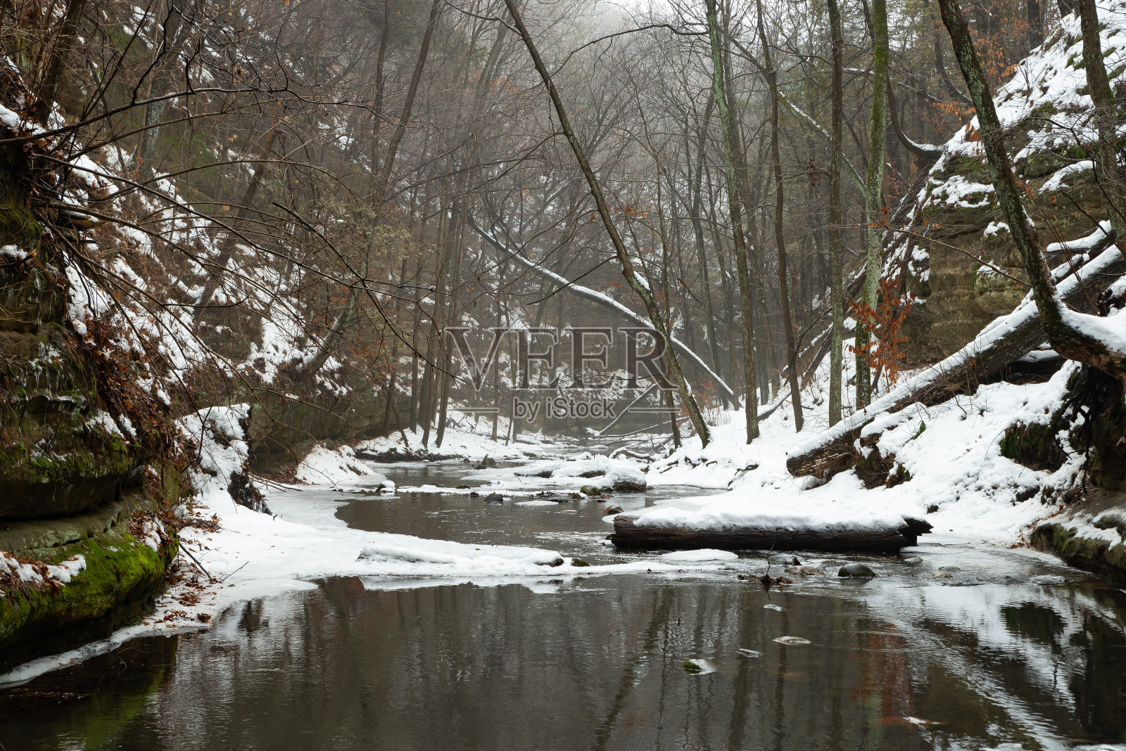 上戴尔照片摄影图片