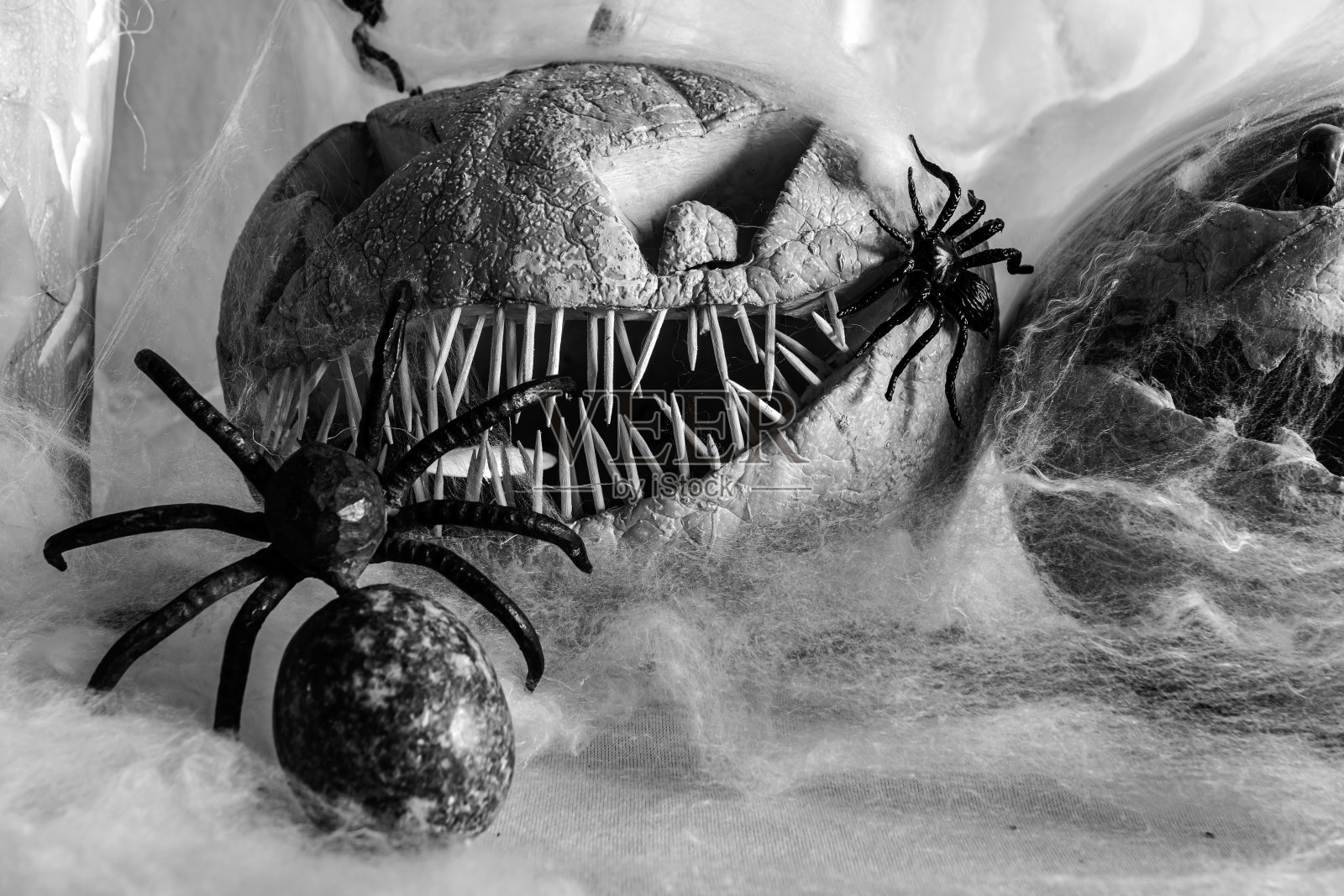 黑白装饰的万圣节南瓜，节日概念，万圣节内饰照片摄影图片