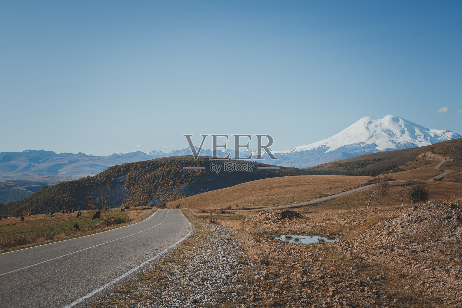 风景如画的厄尔布鲁士山景、秋高气爽的田野和美丽自然的高加索山脉，是俄罗斯旅游的概念。照片摄影图片