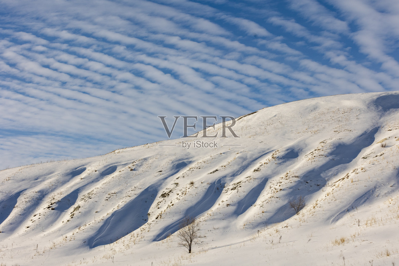 乌里扬诺夫斯克的生活照片摄影图片
