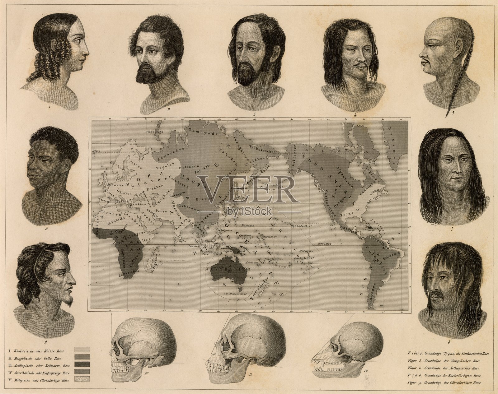 人类学-人类的品种-古董1851原始印刷插画图片素材