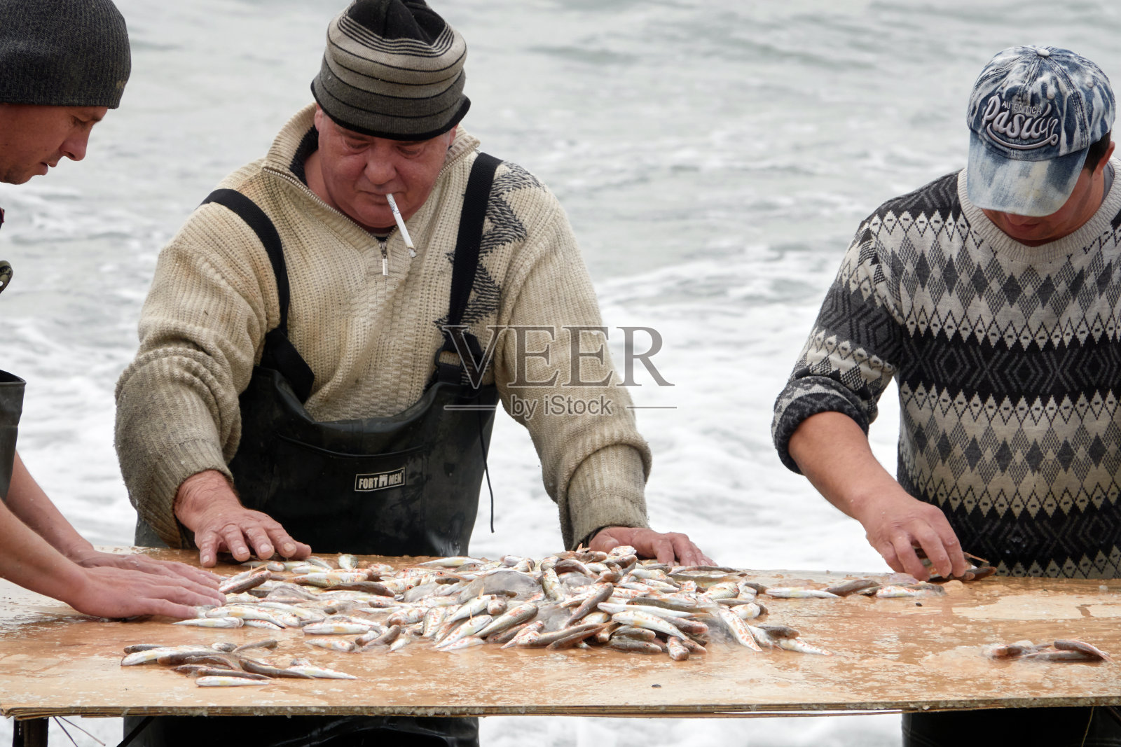渔民将新鲜捕获的鲃鱼分拣以供应当地市场。照片摄影图片