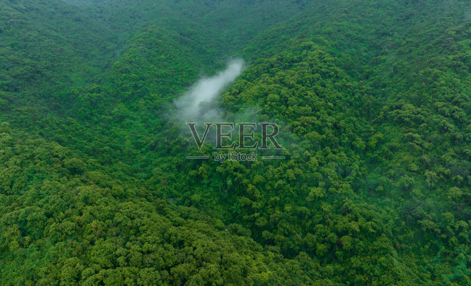 鸟瞰美丽的森林山景照片摄影图片