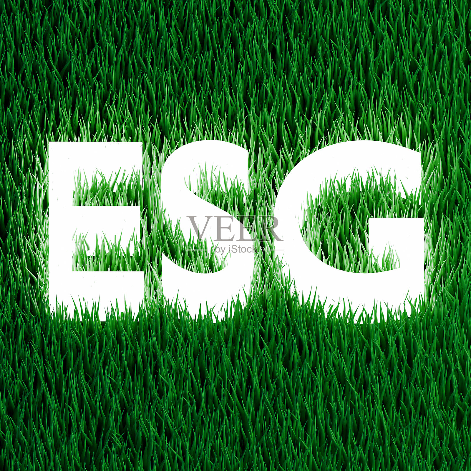ESG图标概念以绿草为背景的环境，以可持续的社会和治理为背景，以自然风光为背景的网络连接为伦理商业。照片摄影图片