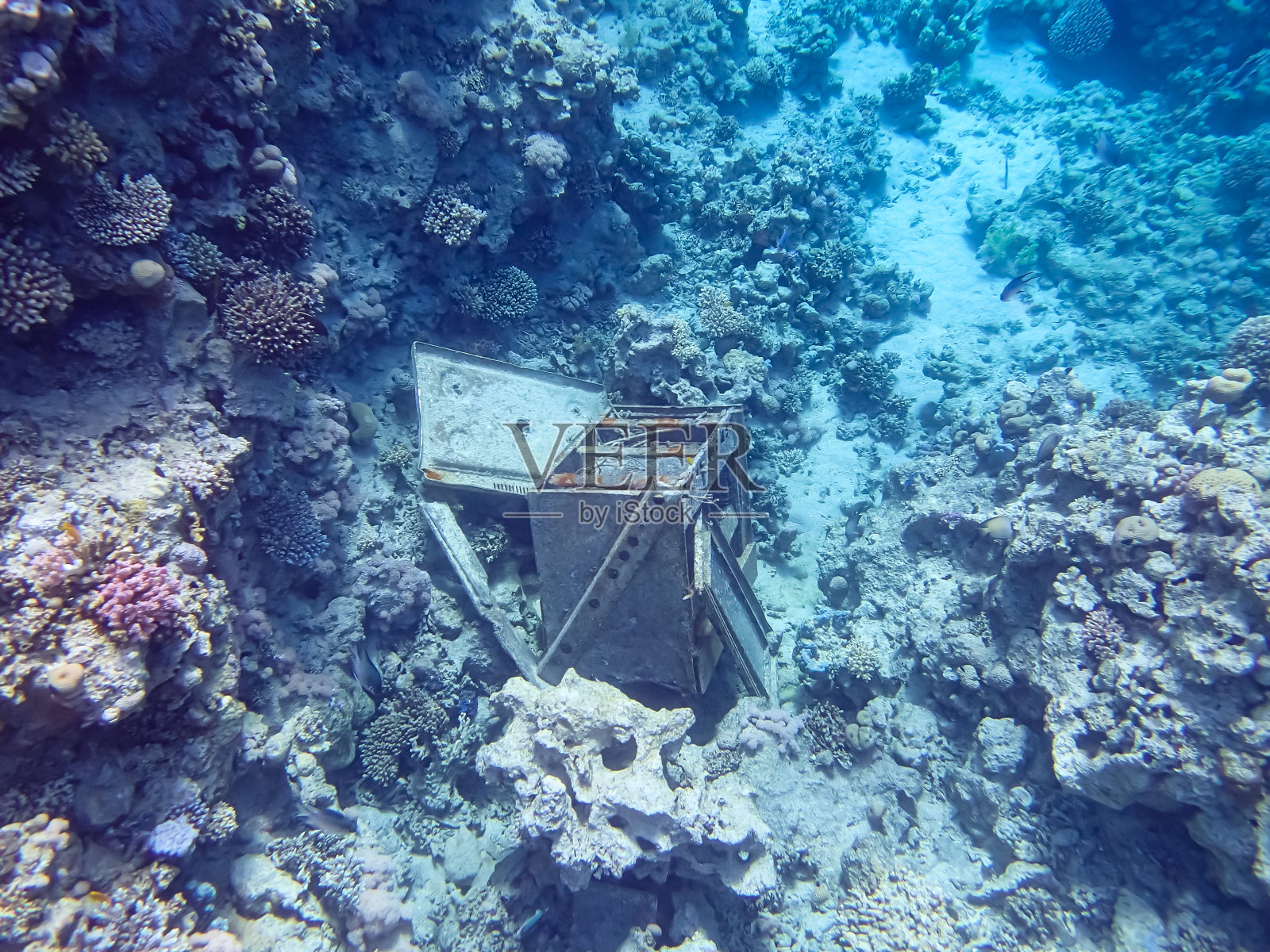 红海海底的破旧铁箱照片摄影图片
