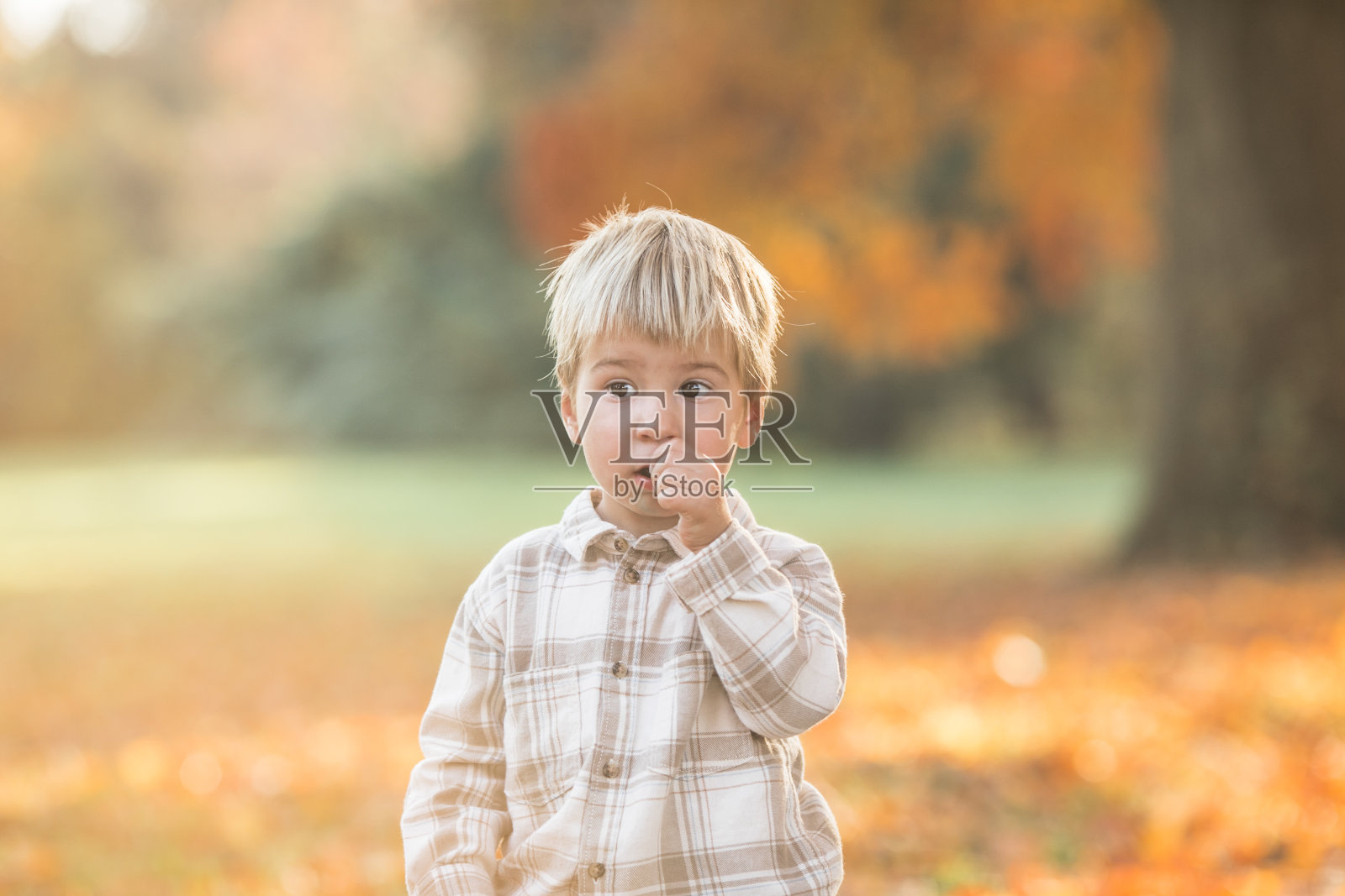 花园里2-3岁孩子的秋天肖像。秋天的季节。欢快可爱的小男孩特写照片摄影图片