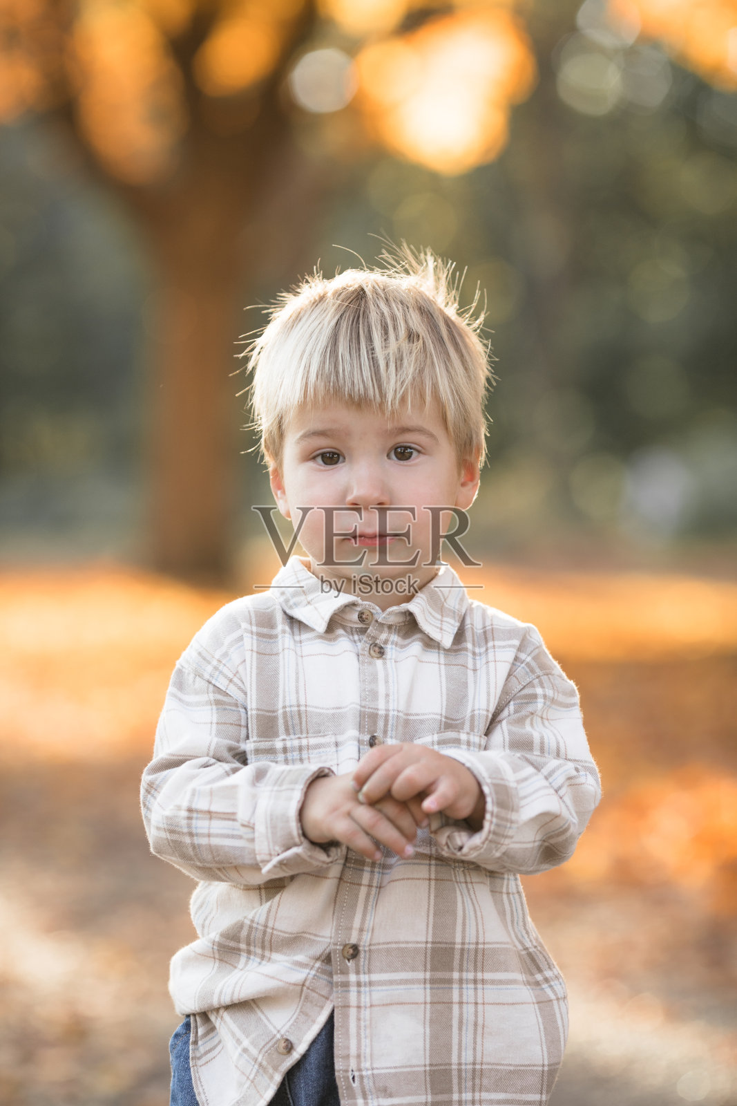 花园里2-3岁孩子的秋天肖像。秋天的季节。欢快可爱的小男孩特写照片摄影图片