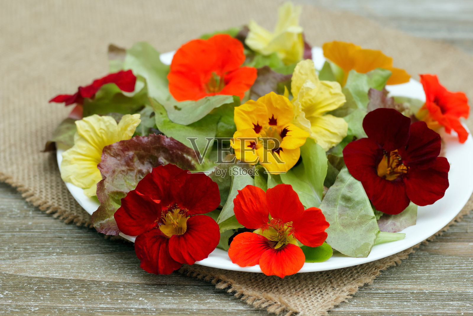 木桌上的应季旱金莲花和生菜沙拉。照片摄影图片