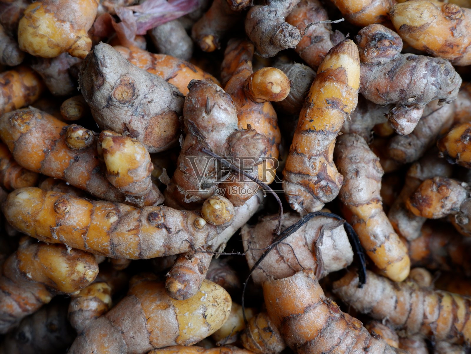 在北苏门答腊省曼达林纳塔尔的Panyabungan传统市场出售生姜。适合作为背景照片摄影图片