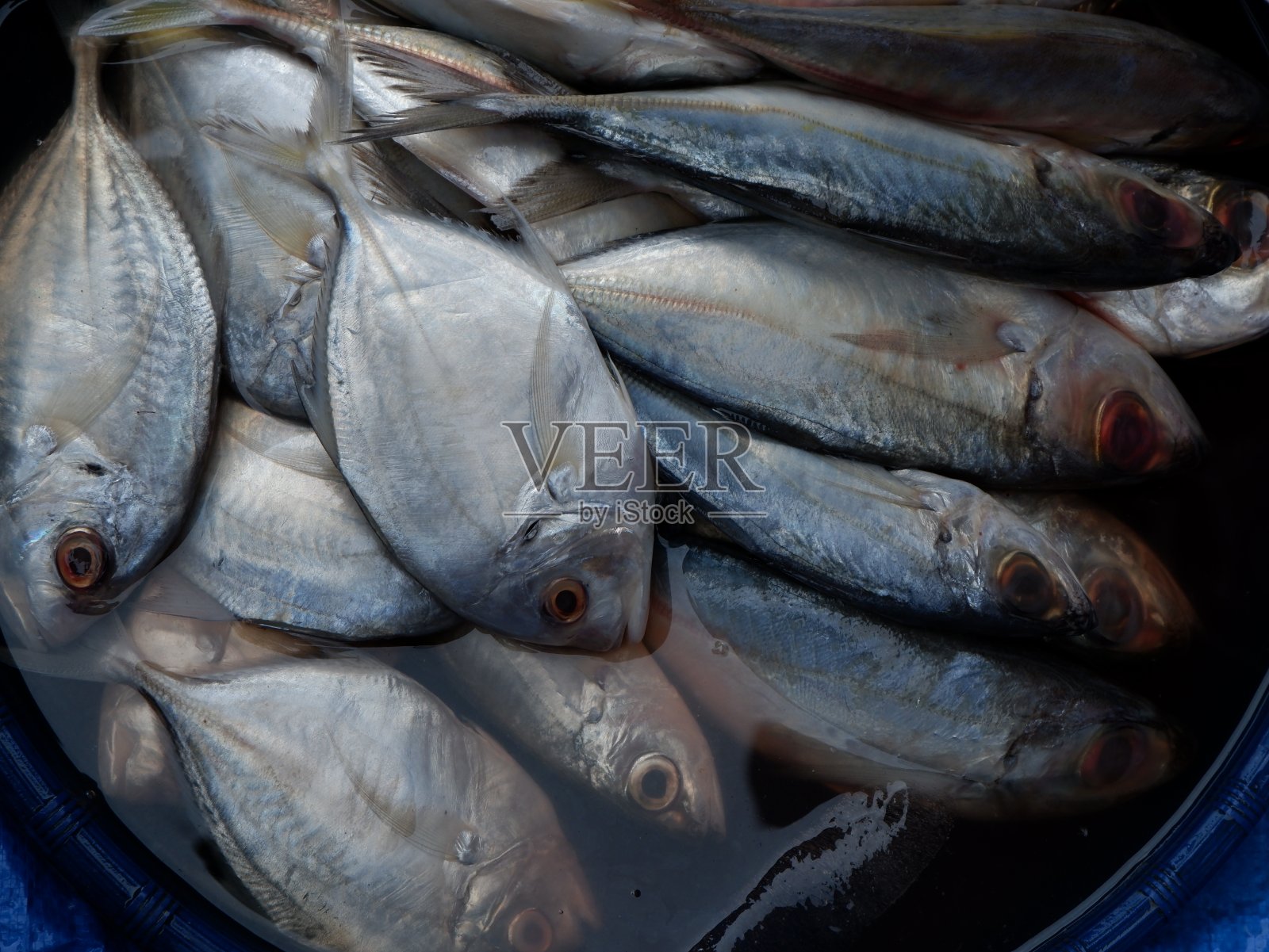 在北苏门答腊省曼达林纳塔尔的Panyabungan传统市场出售鱼照片摄影图片