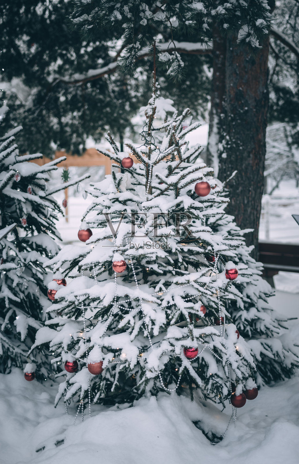 街上的圣诞雪树上挂着红色的球和珠子照片摄影图片