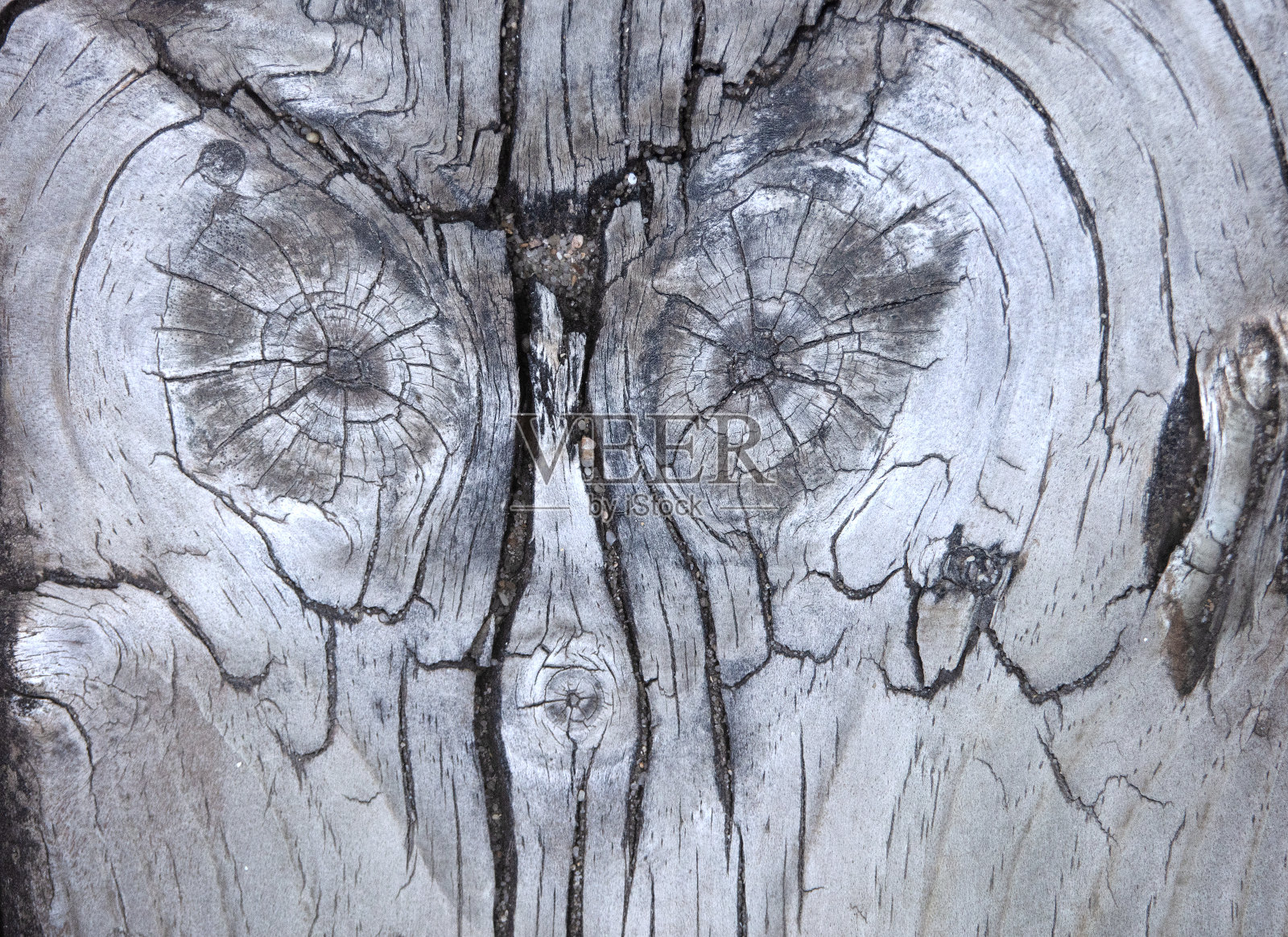 在木头上看到一张可辨认的脸的幻觉。照片摄影图片